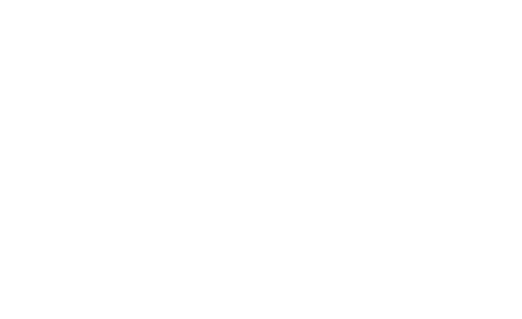 Digix Logo White